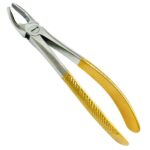 Extracting Forceps