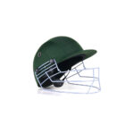 Cricket Helmet