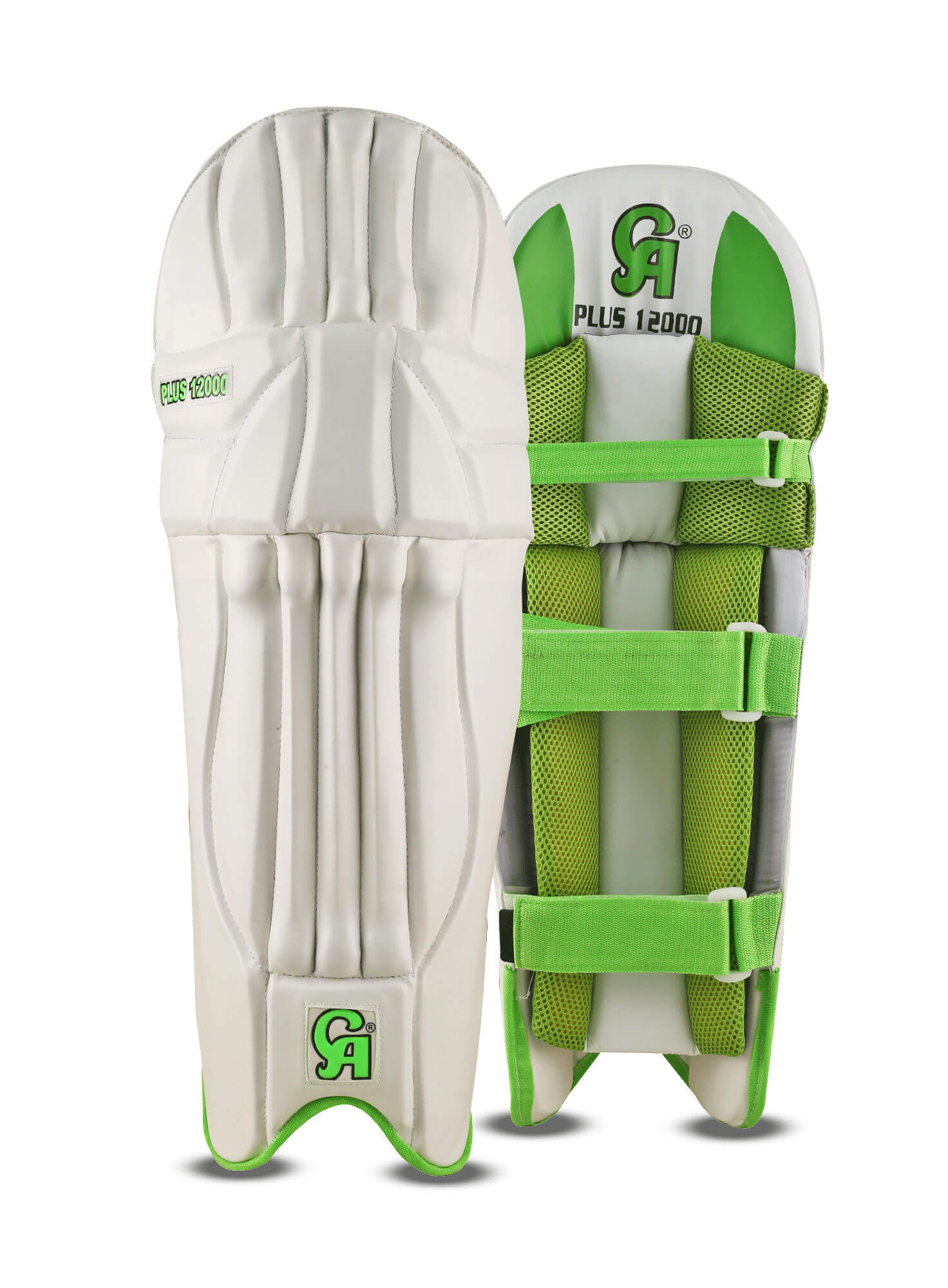 pads Cricket Pad - Image 1